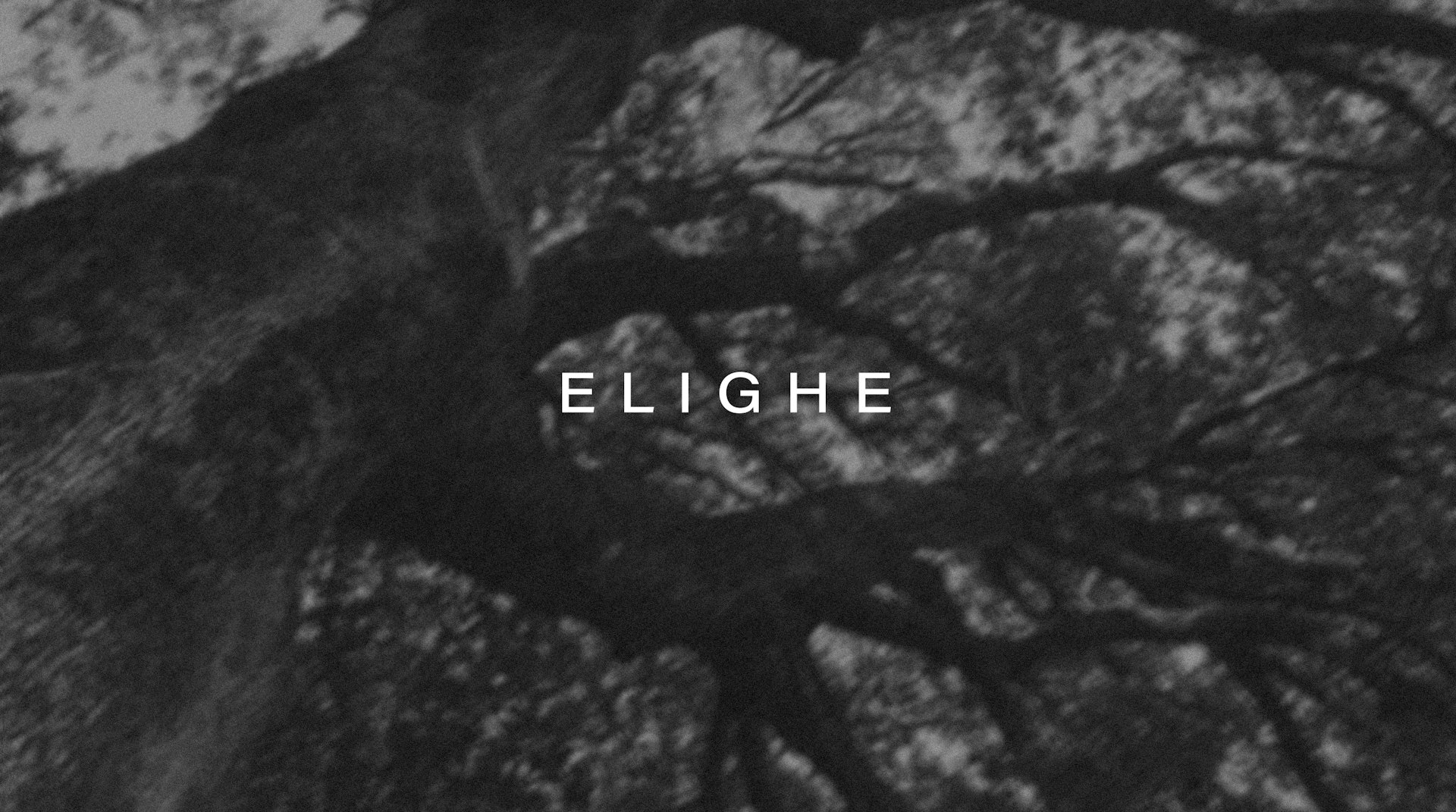 Elighe Label, Portfolio