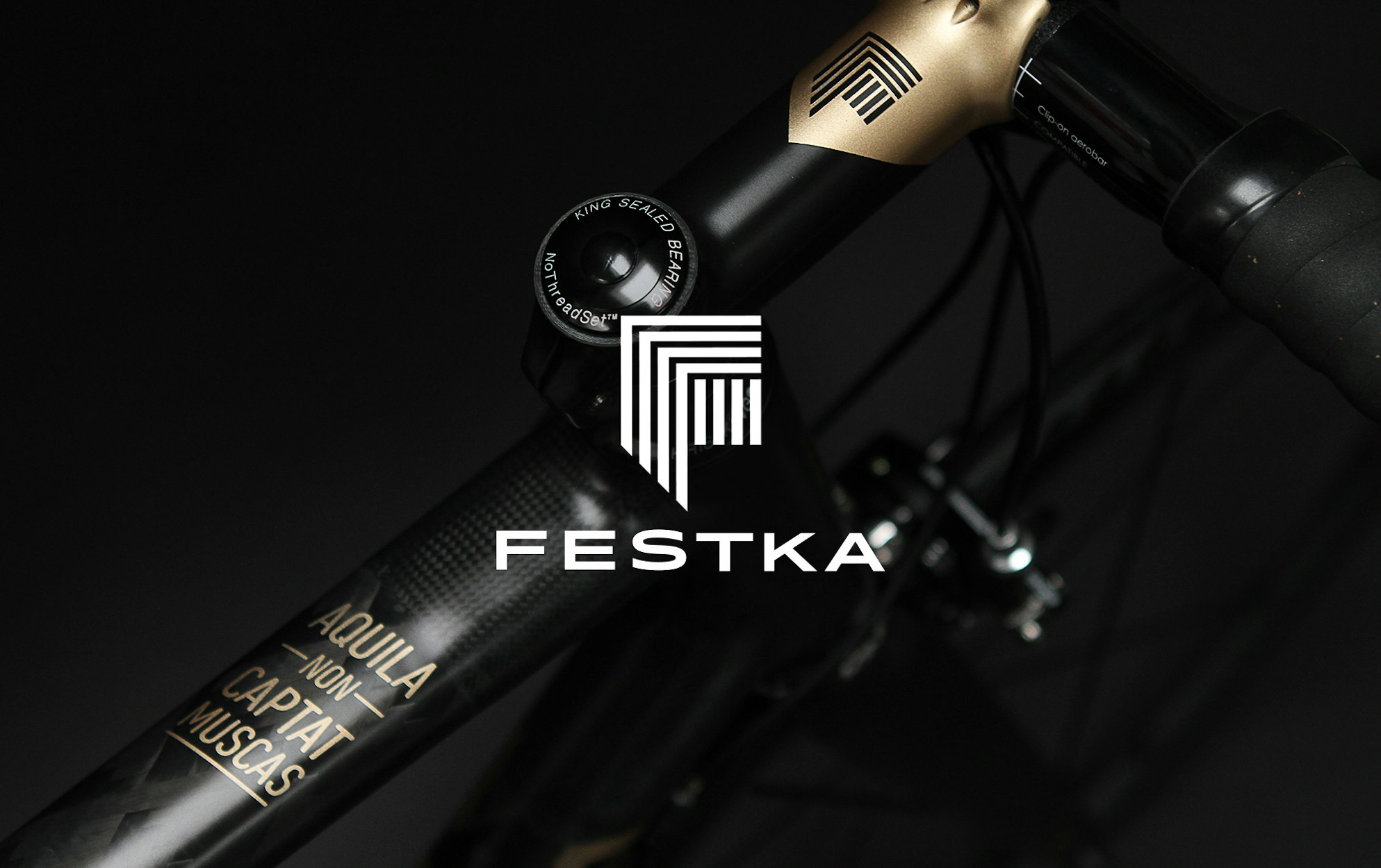 Festka 