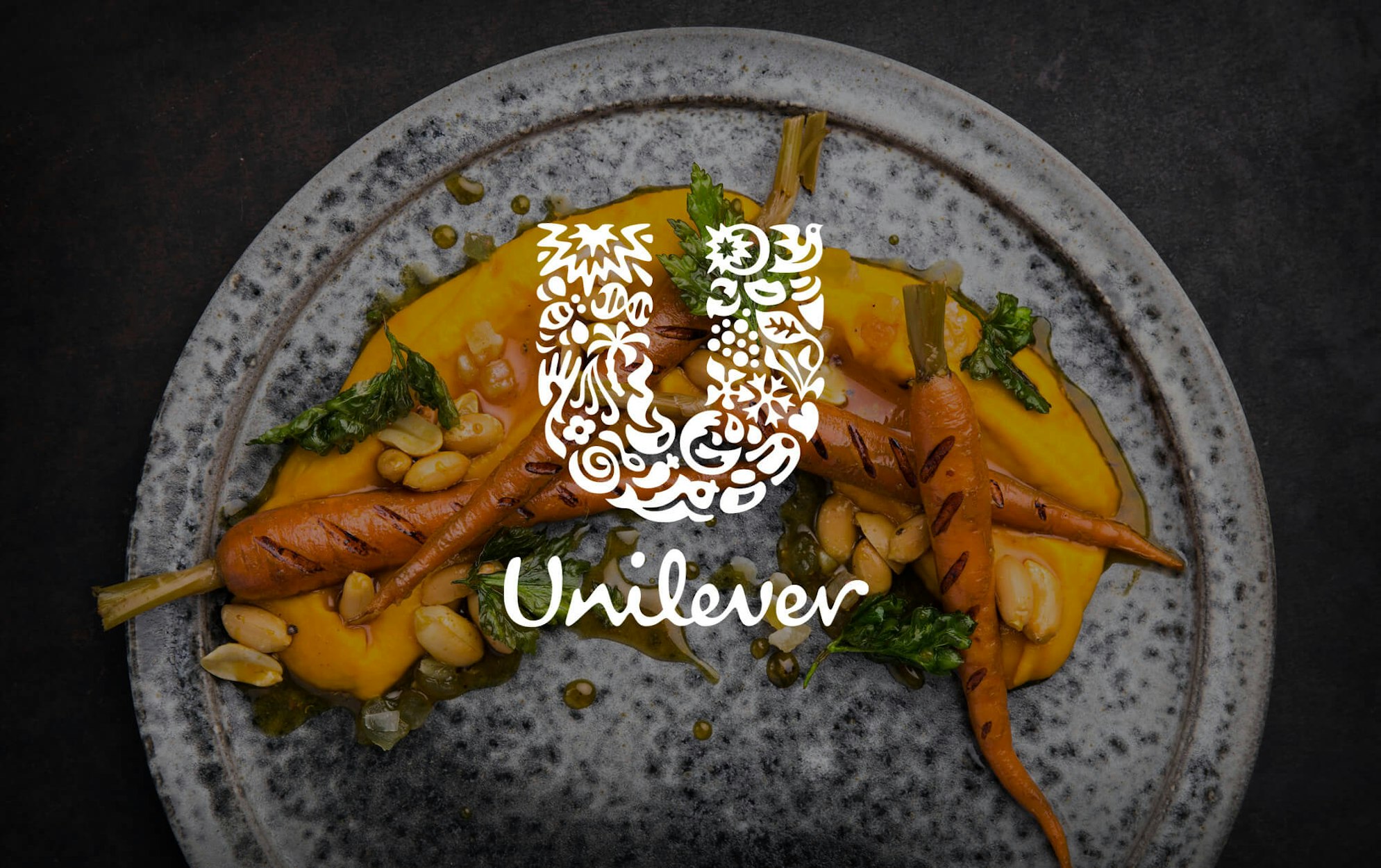 Unilever Food Solution