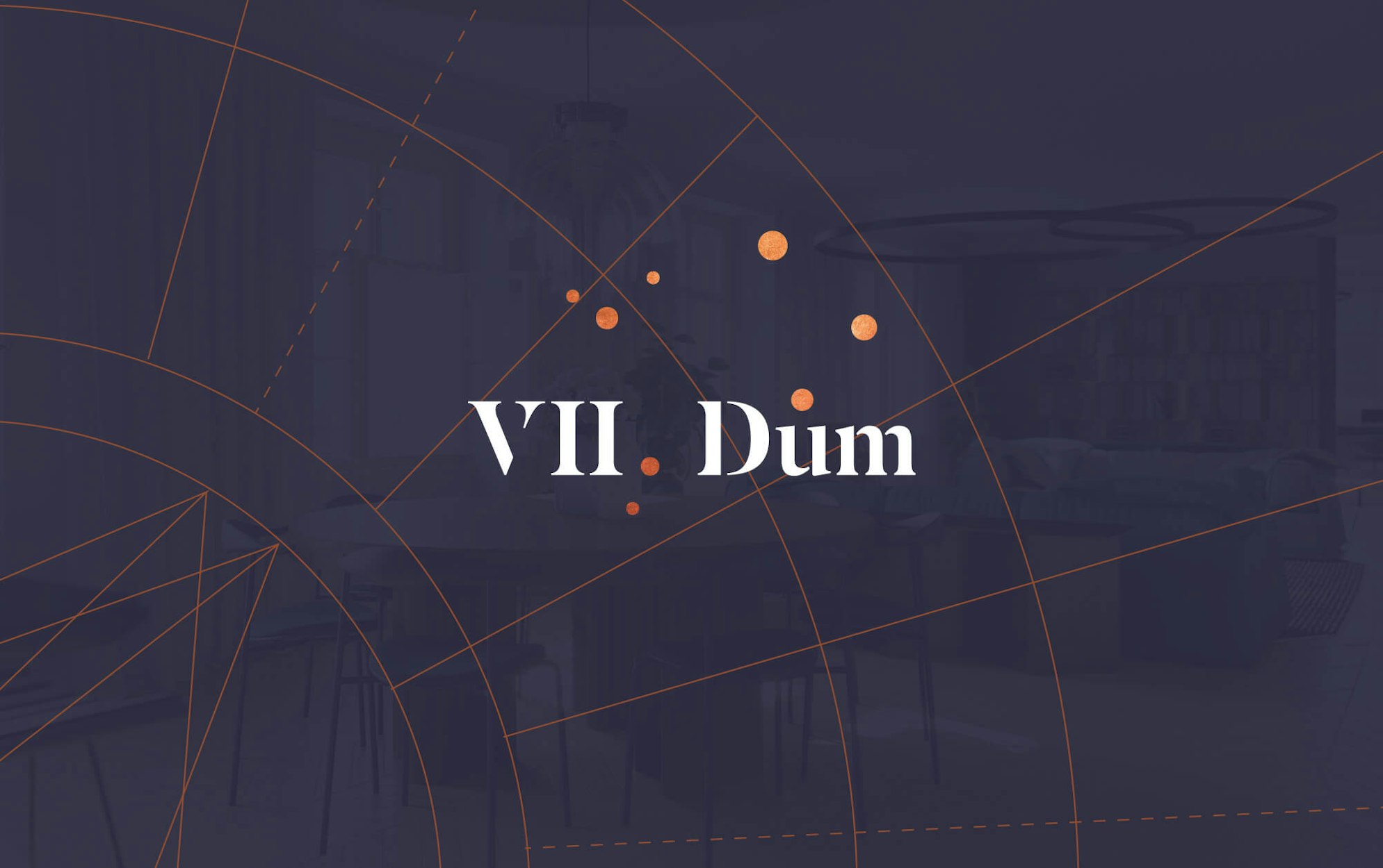 VII. dům