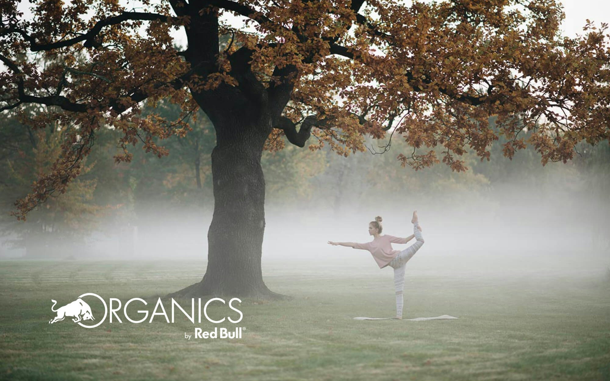Red Bull Organics