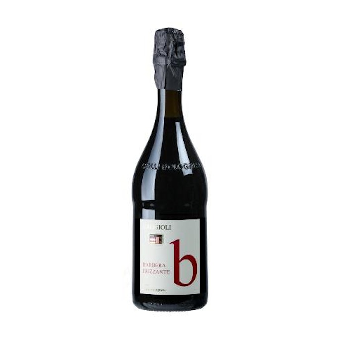 https://www.datocms-assets.com/57622/1635851234-barbera-frizzante-doc.jpg?auto=format&h=700