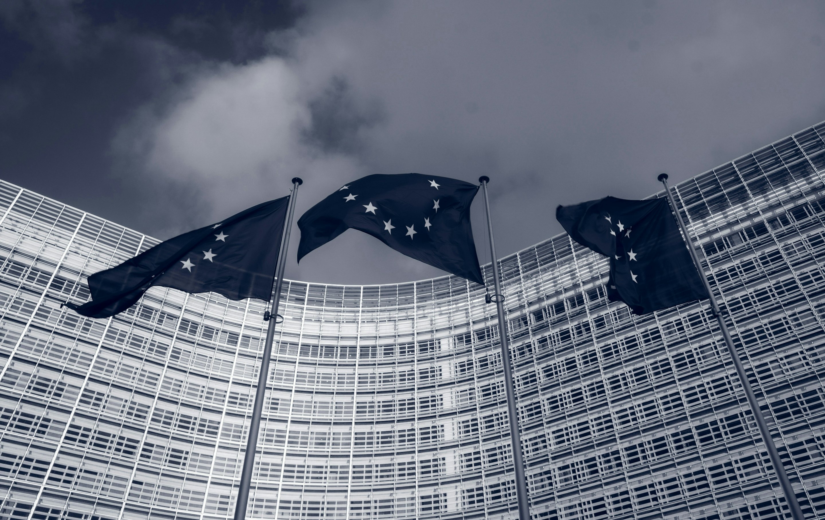 EU-Wahl 2024 - Das Parlament als Spiegelbild eines fragmentierten Europas