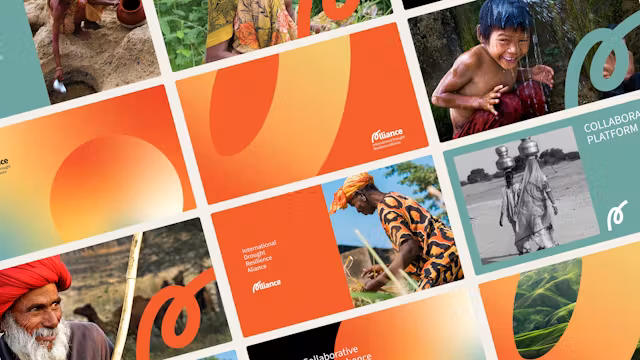 Web design: Design web experiences that help you reach your business and communication objectives.