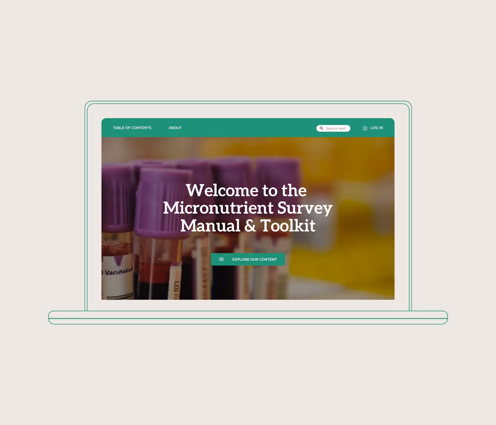 CDC Micronutrient Tool