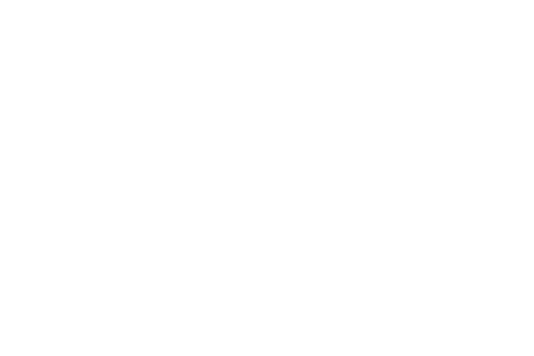 Independent Consultant