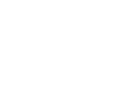 Voyager Labs