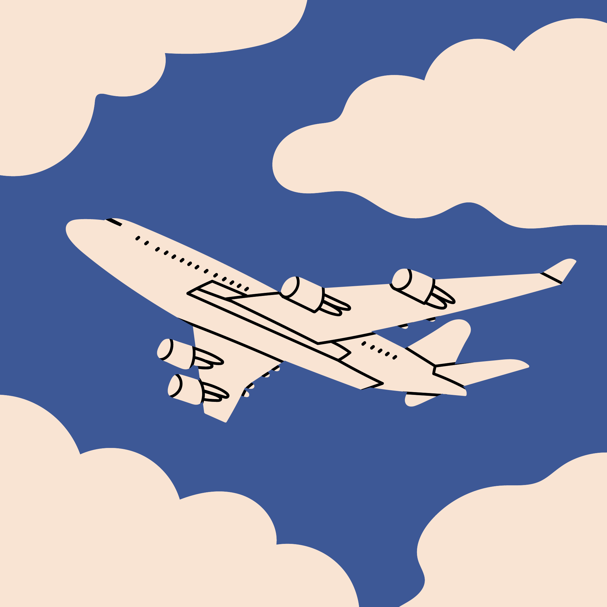 Sign The Flight Rights Petition Sign The Flight Rights Petition