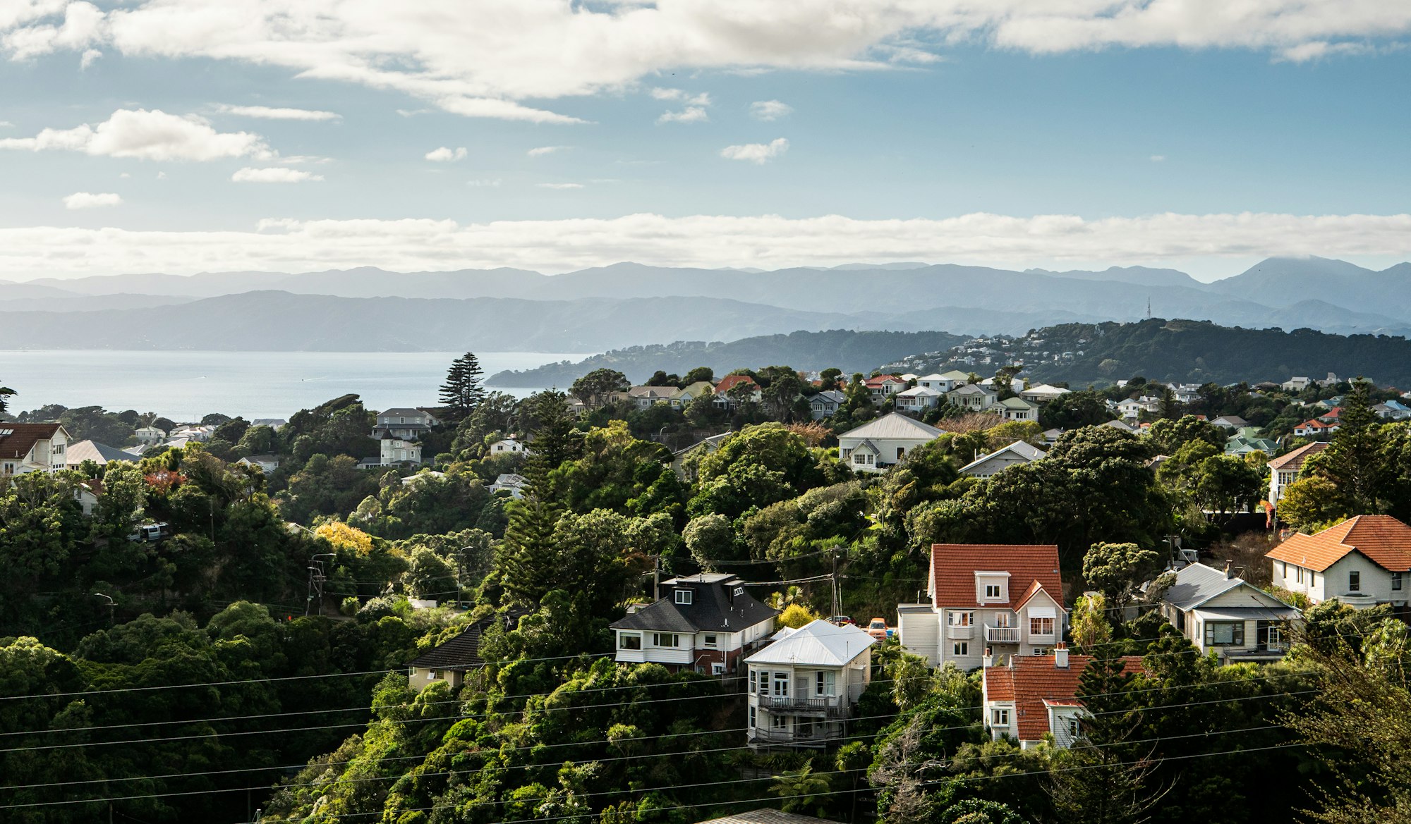 Houses in Wellington, New Zealand.