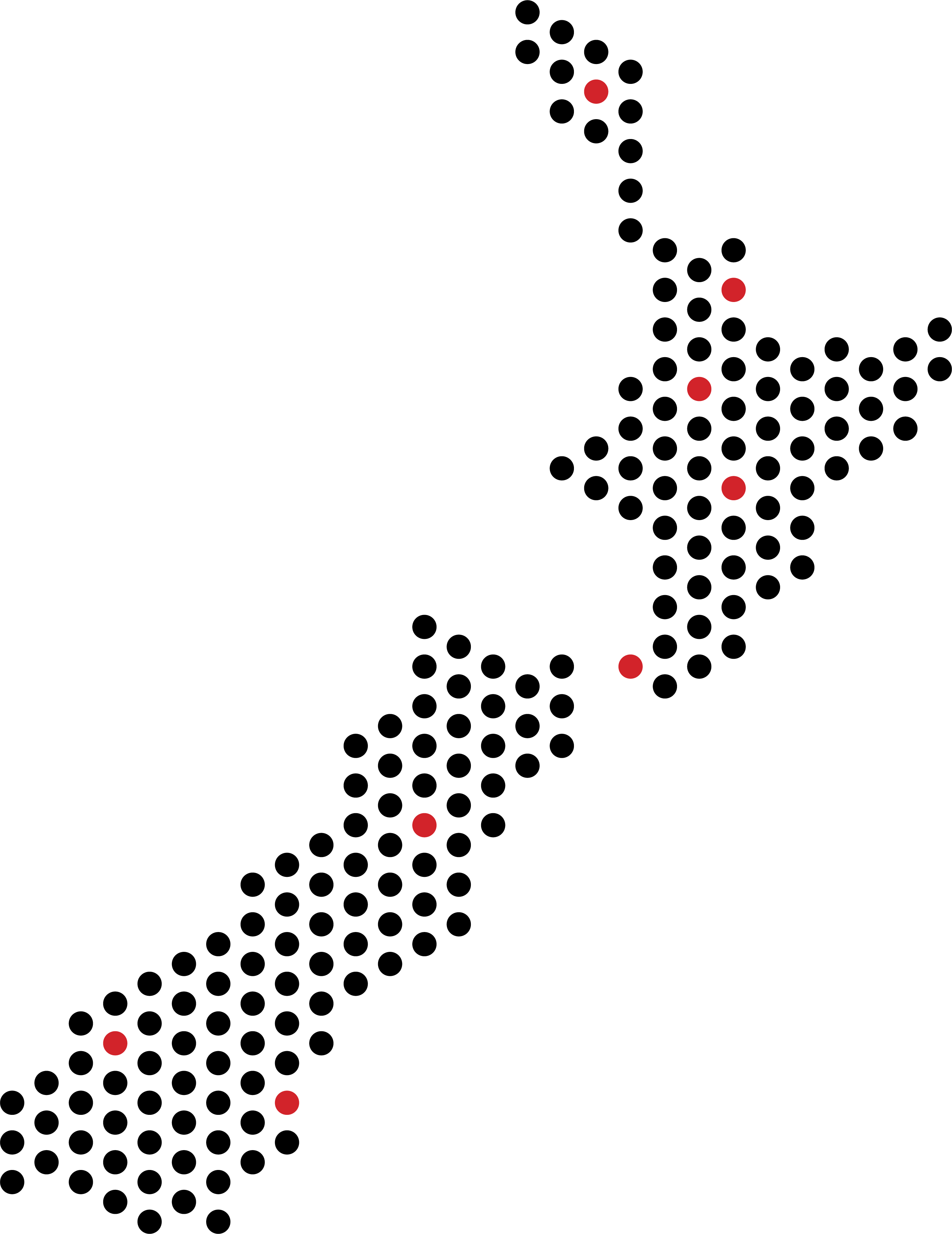 Graphic of New Zealand map made of red and black dots.
