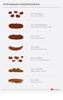 Avföringstyper enligt bristolskalan avföringstyper enligt bristolskalan
