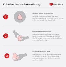 Så undersöker du testiklarna själv Kolla dina testiklar i 3 steg
