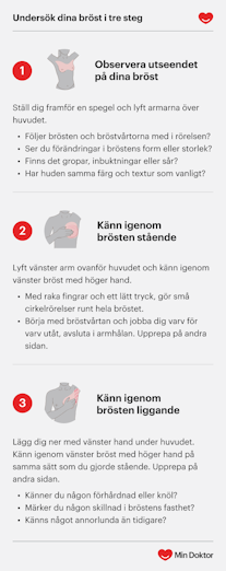Undersök brösten i 3 steg infografik-sa-undersoker-du-brosten