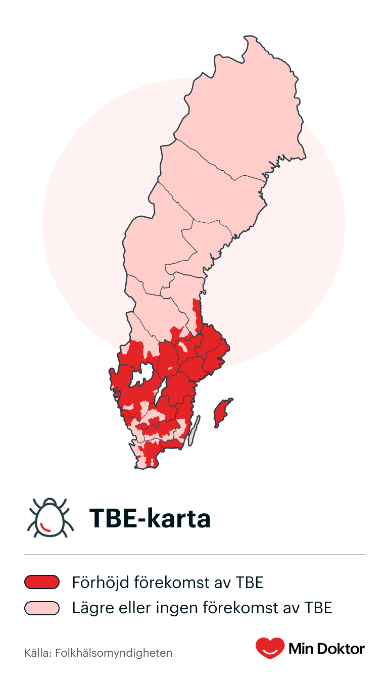 TBE-karta 2024