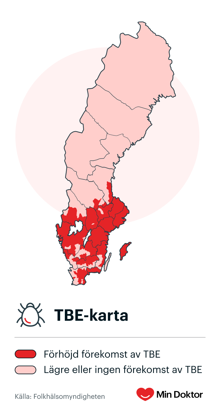 TBE-karta 2024