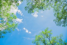 Asta fick bältros i ansiktet: “Ville gräva ut ögat för att slippa smärtan” Asta fick bältros i ansiktet: “Ville gräva ut ögat för att slippa smärtan”