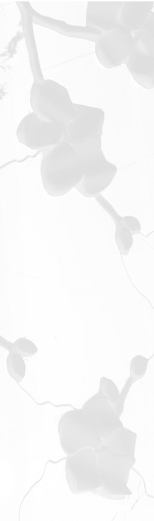 Background image of faint leaves