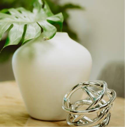 Plant in vase and silver ring sculpture on table.