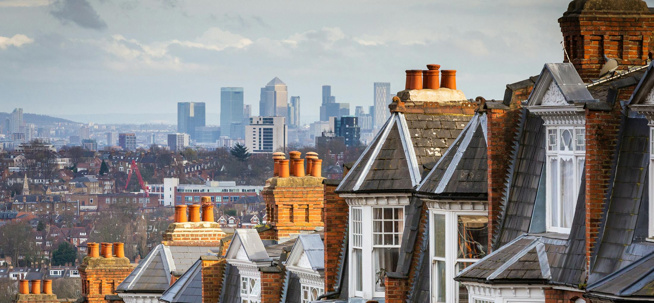 Houses with a city skyline behind them