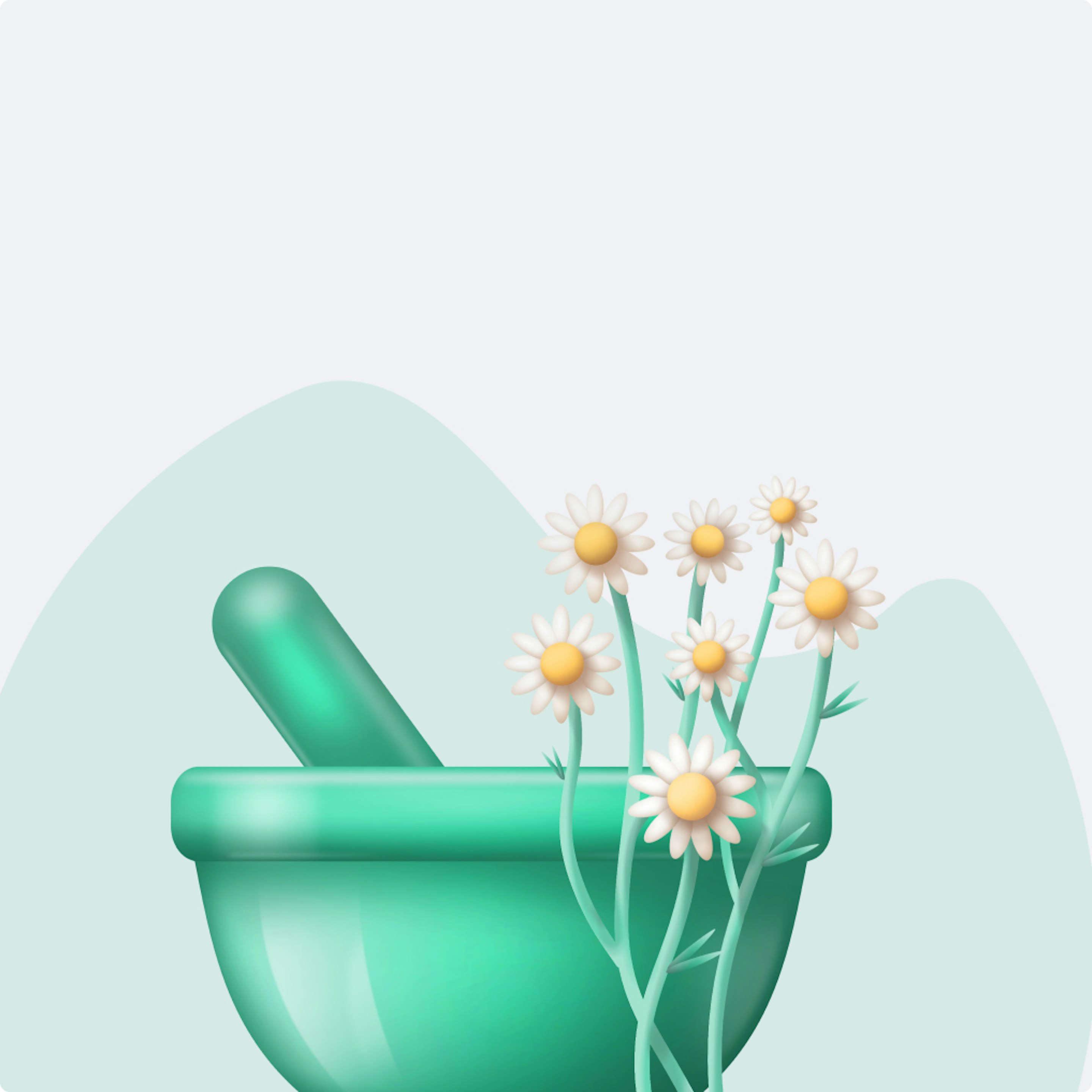 Puls category illustration on a green background: 3D-rendered mortar and pestle with chamomile flowers, for herbal remedies.