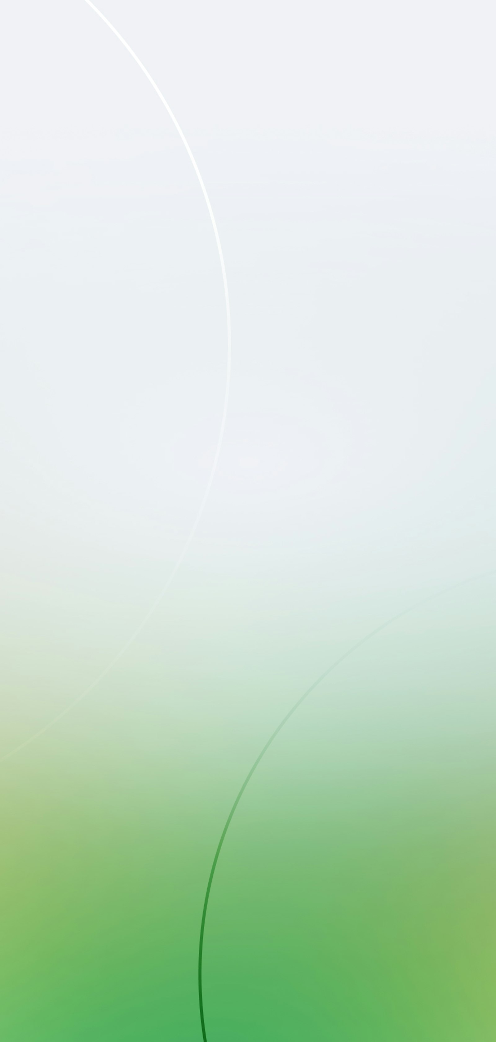 Wasmer brand gradient artwork in green and off-white with thin curved arc lines
