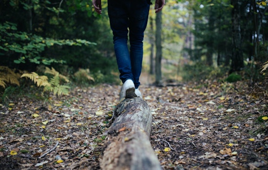 hr balanced scorecard