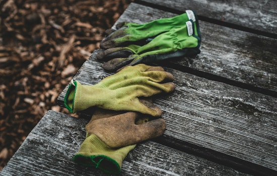personalvermittlung garten- und landschaftsbau