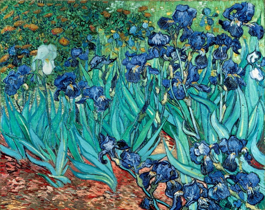 Tableau les Iris, un tableau de Van Gogh vendu par Sotheby's, à New-York. 