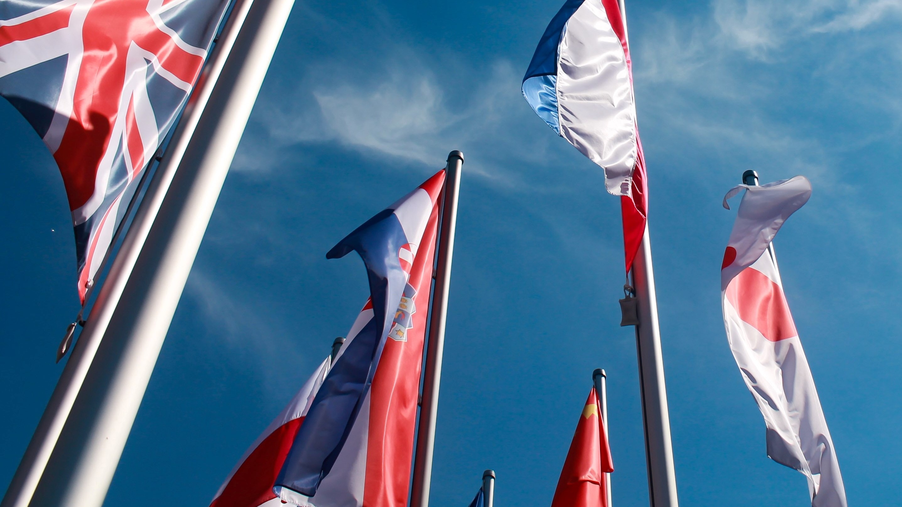 Servizi Linguistici NET Servizi Linguistici NET