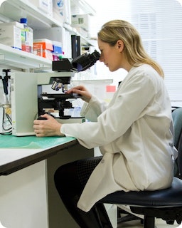 A scientist looks through a microscope