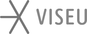 viseu viseu