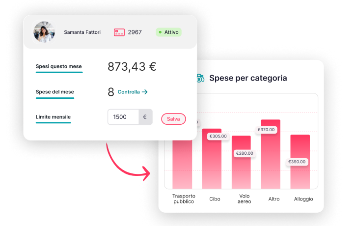 Gestione delle spese aziendali attraverso un software