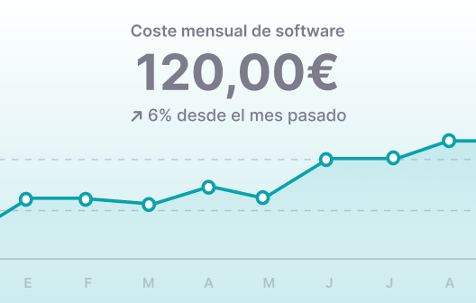 coste software