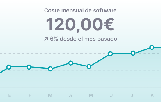 coste software coste software
