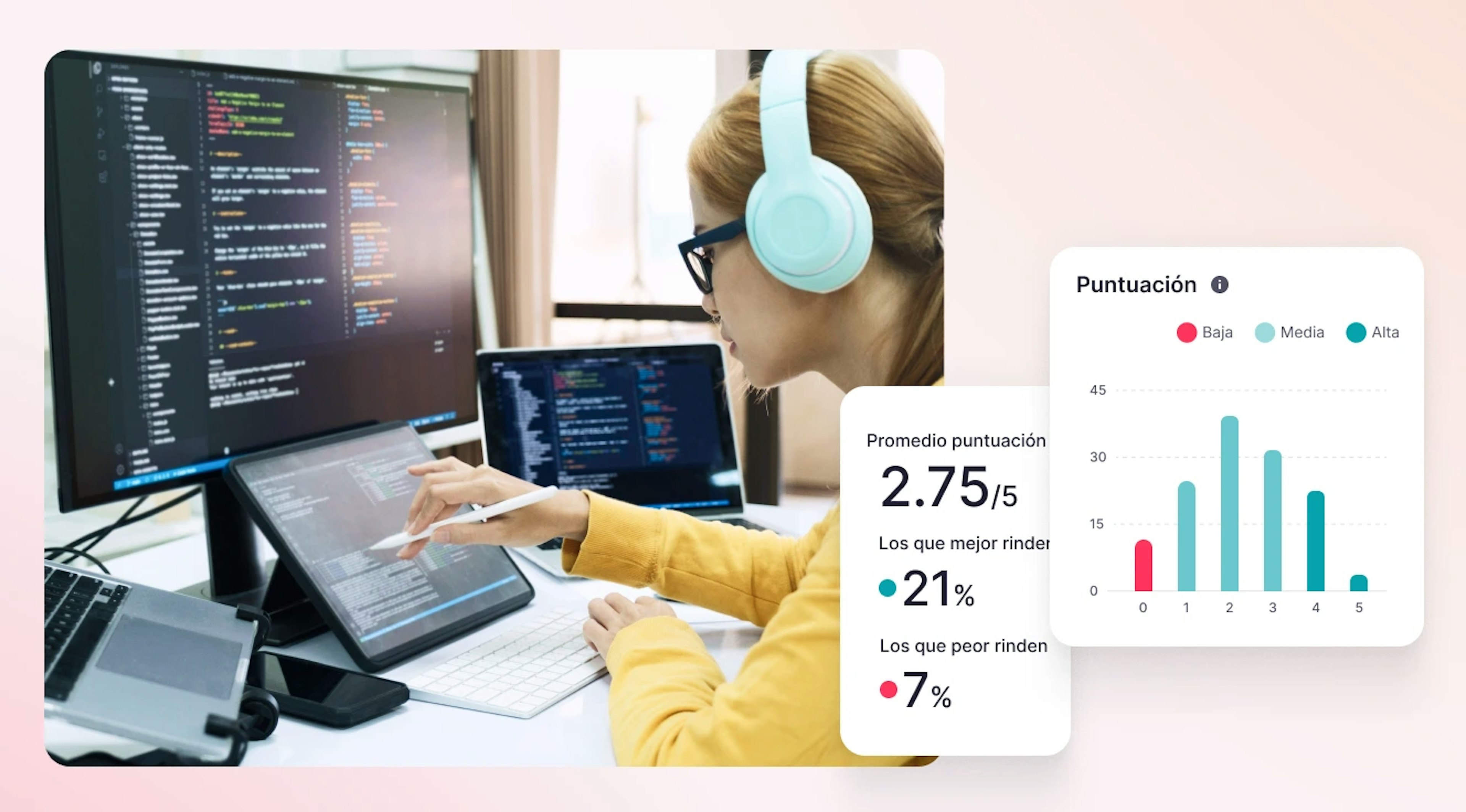 Software & IT