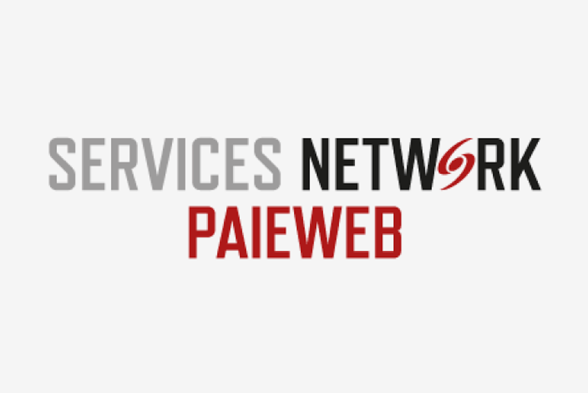 SNP Web logo