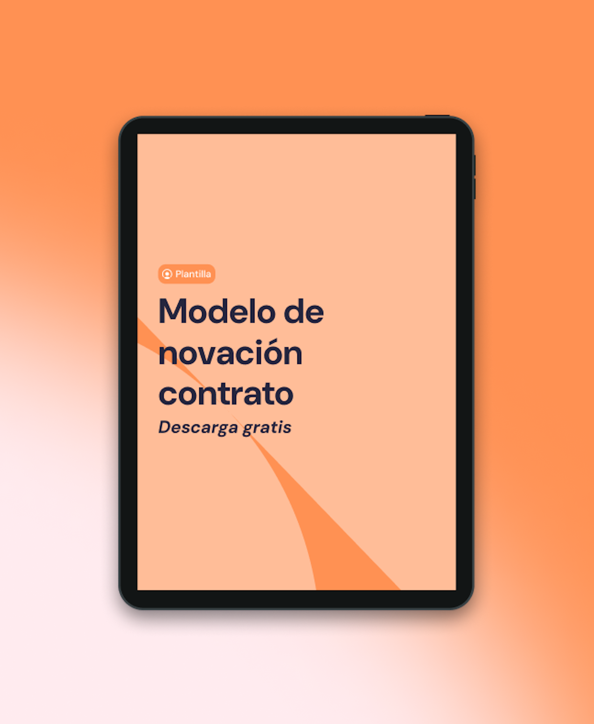 Modelo de novación de contrato