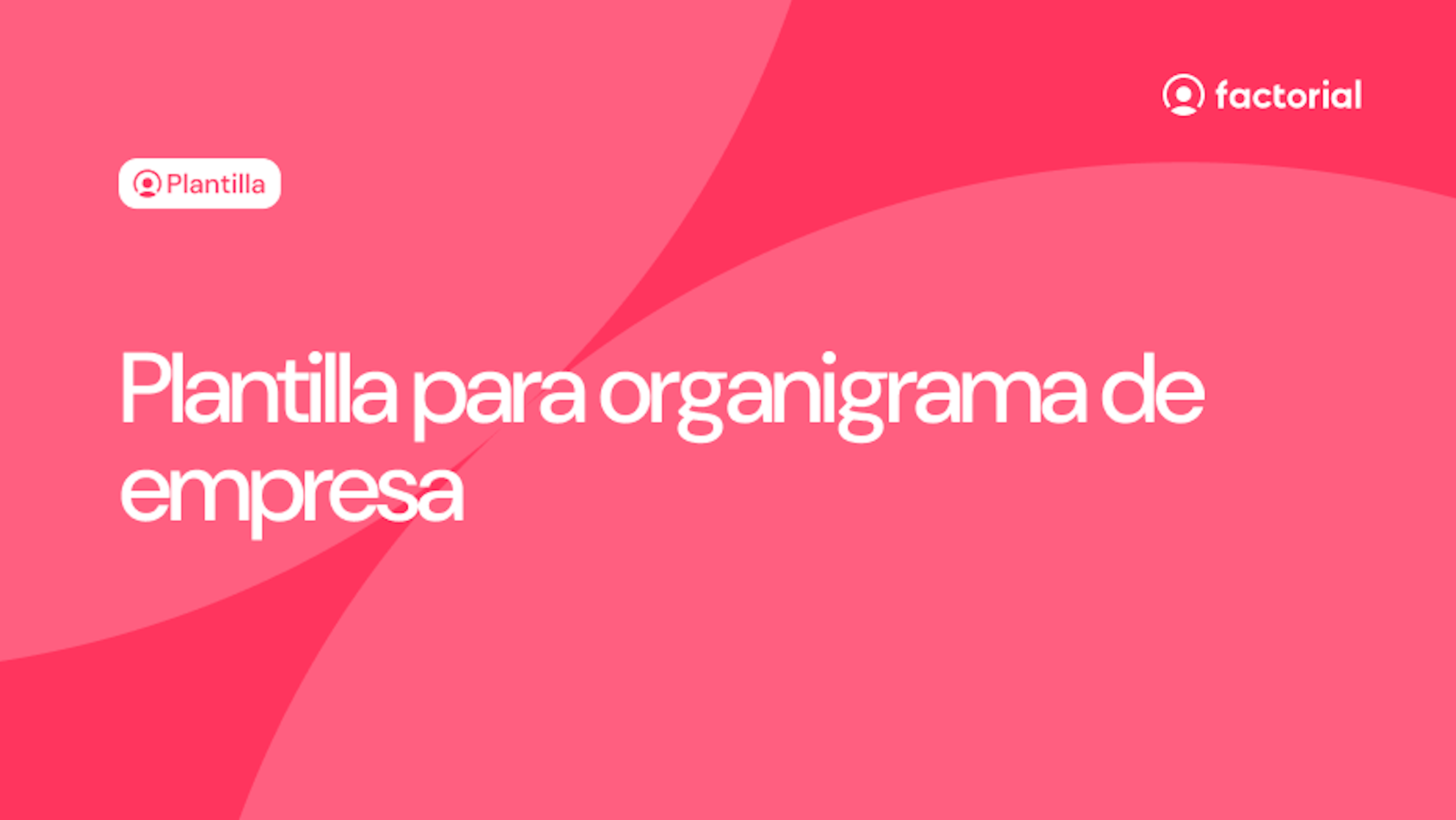 Plantilla para organigrama de empresa