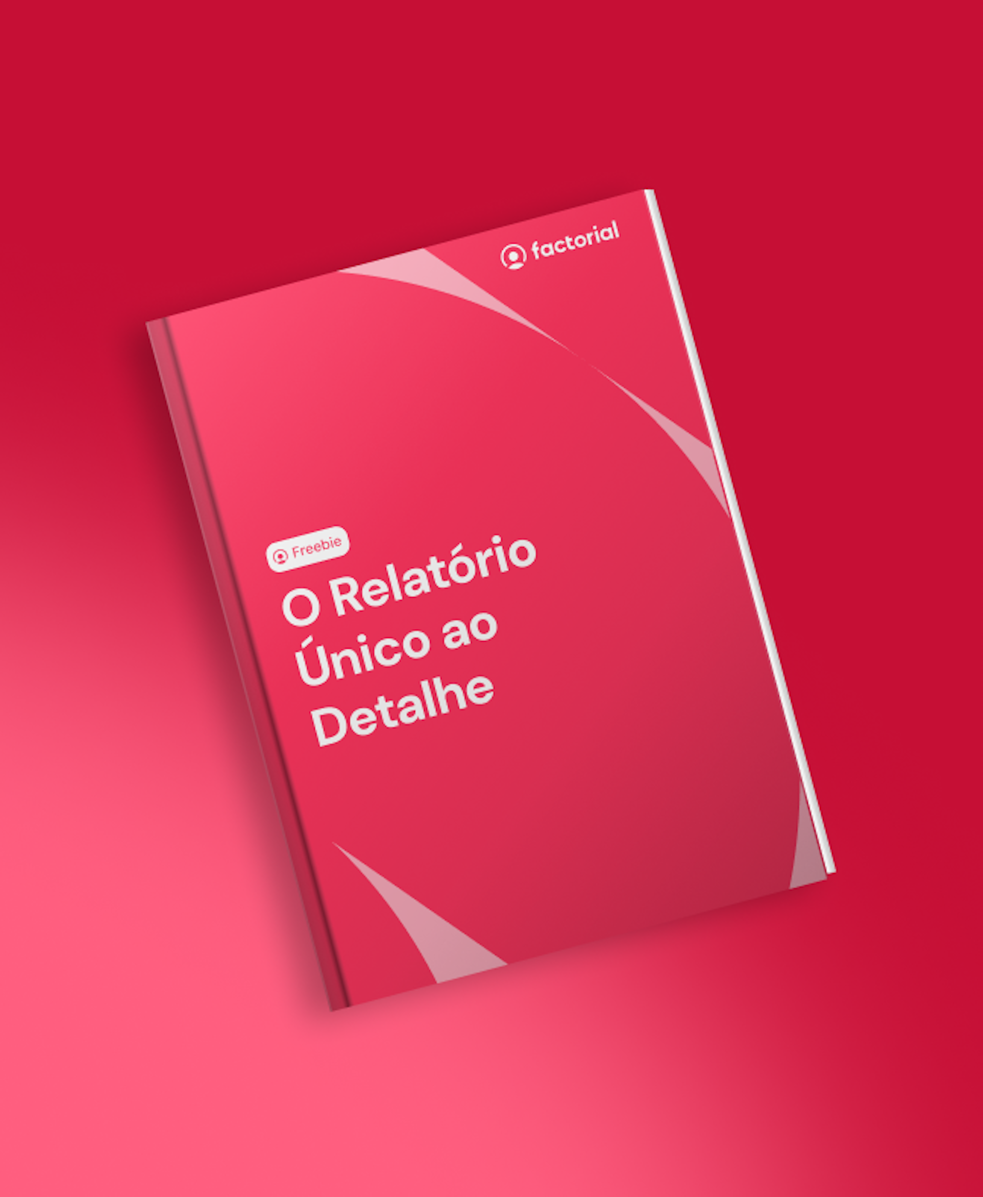 Guia Completo do Relatório único