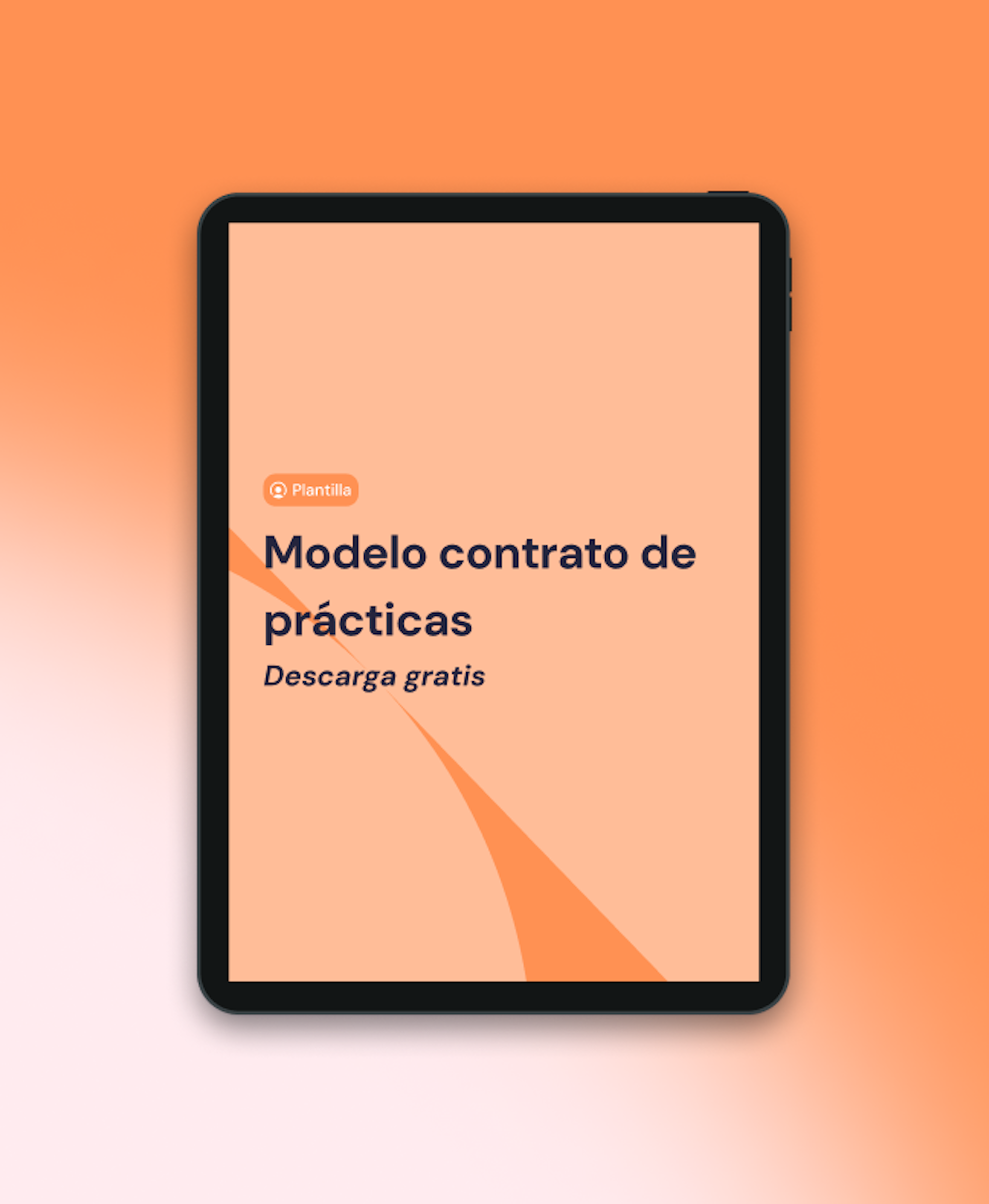 Modelo contrato de prácticas