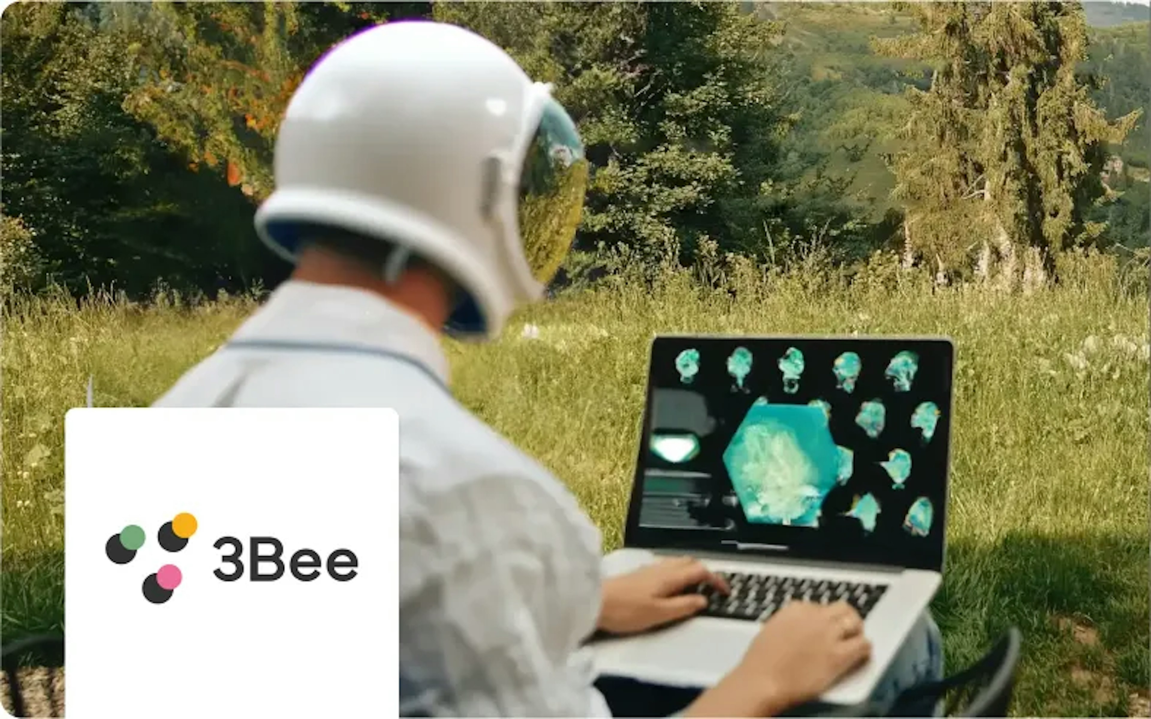 3Bee Hero
