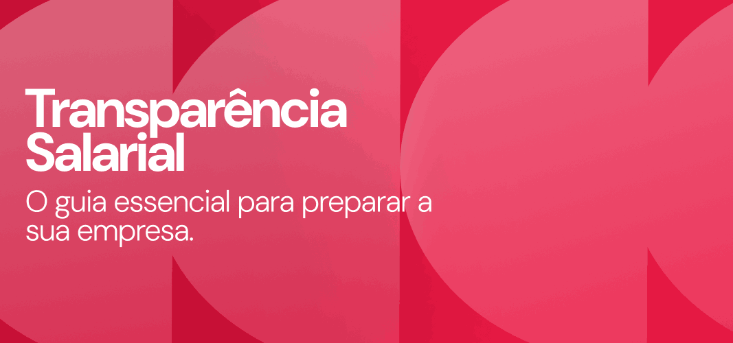 Transparência Salarial Guia para as empresas Transparência Salarial