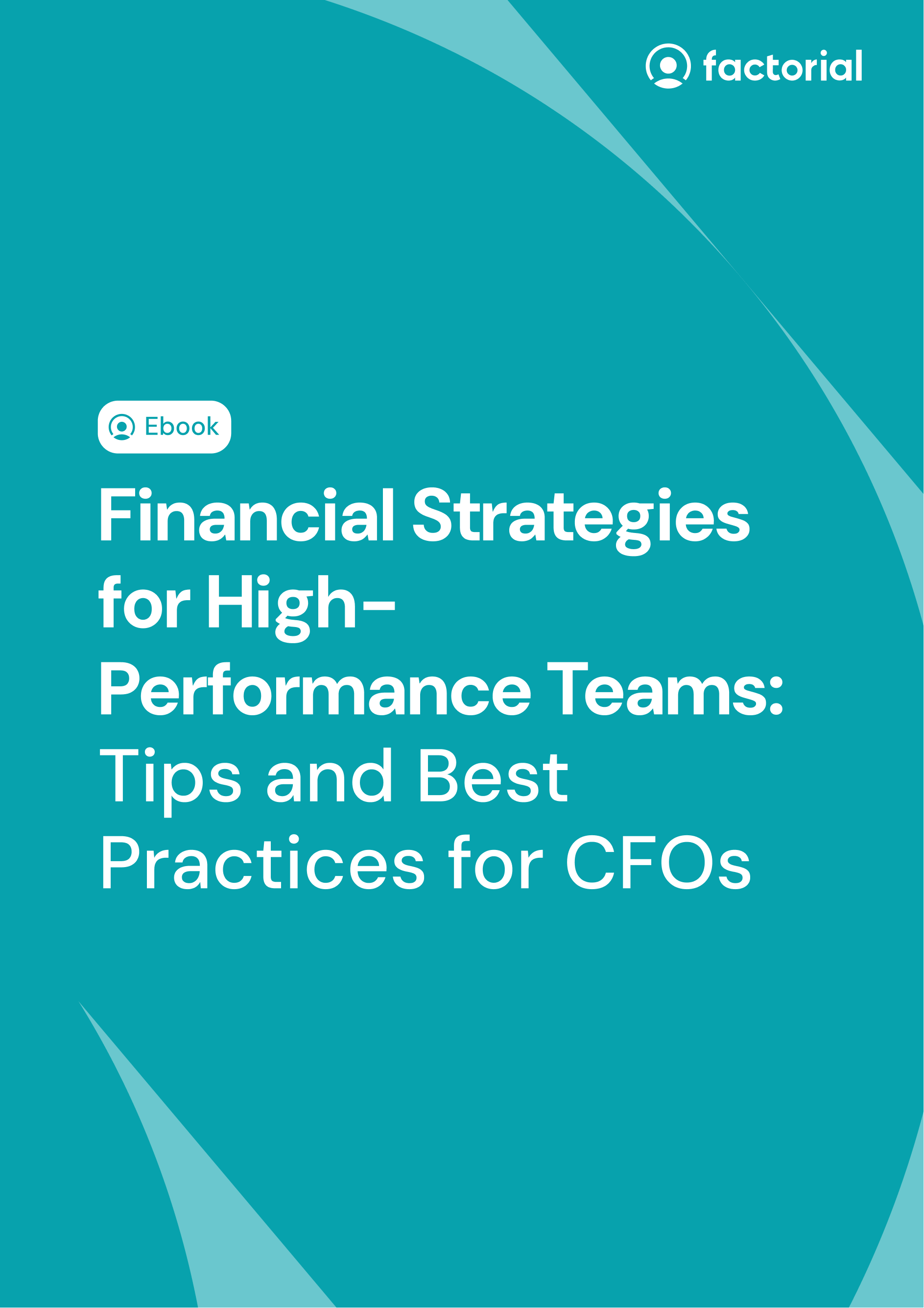 Financial strategies for CFOs The cover of the Financial strategies for CFOs ebook