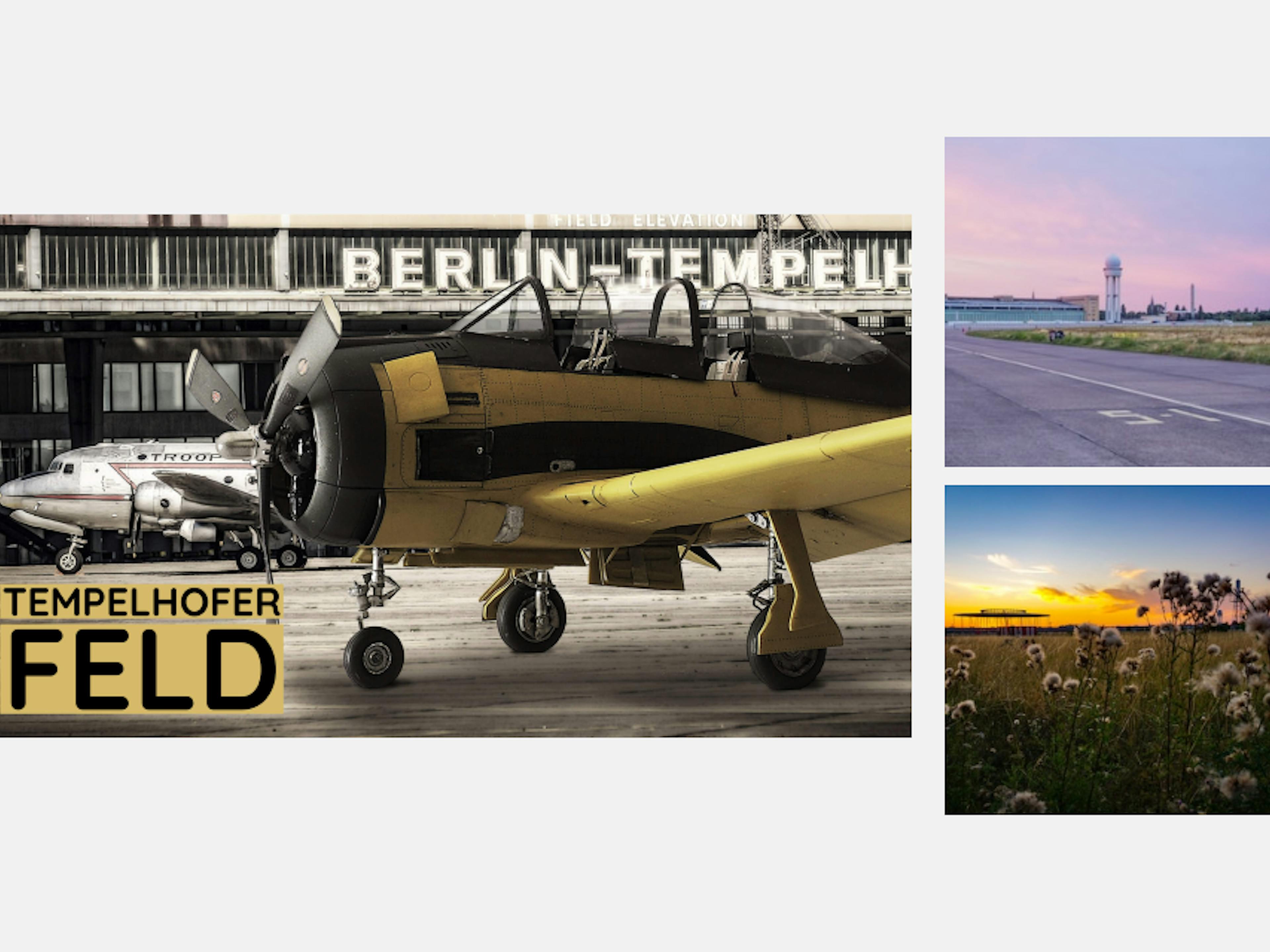 Das Tempelhofer Feld