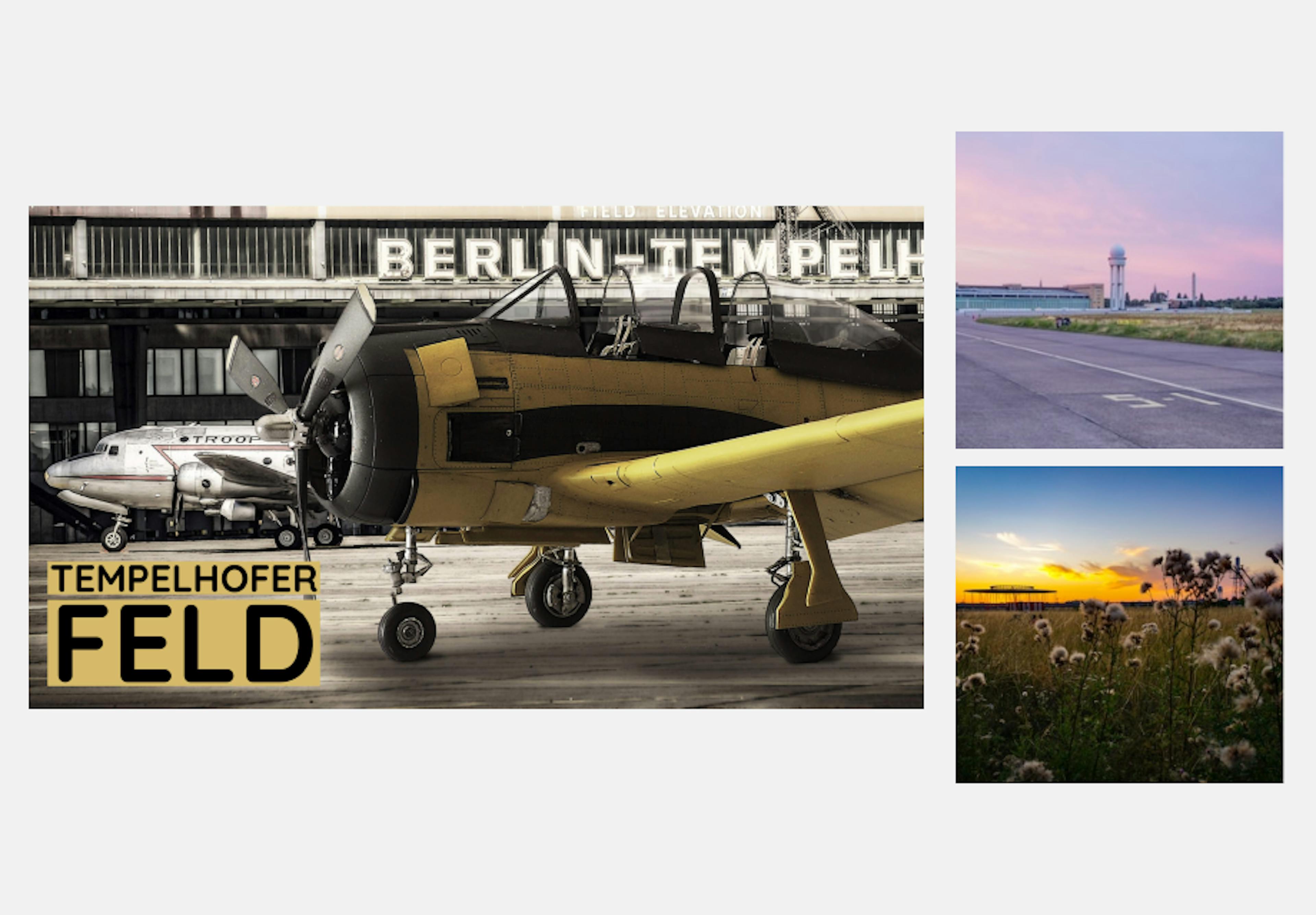 Das Tempelhofer Feld