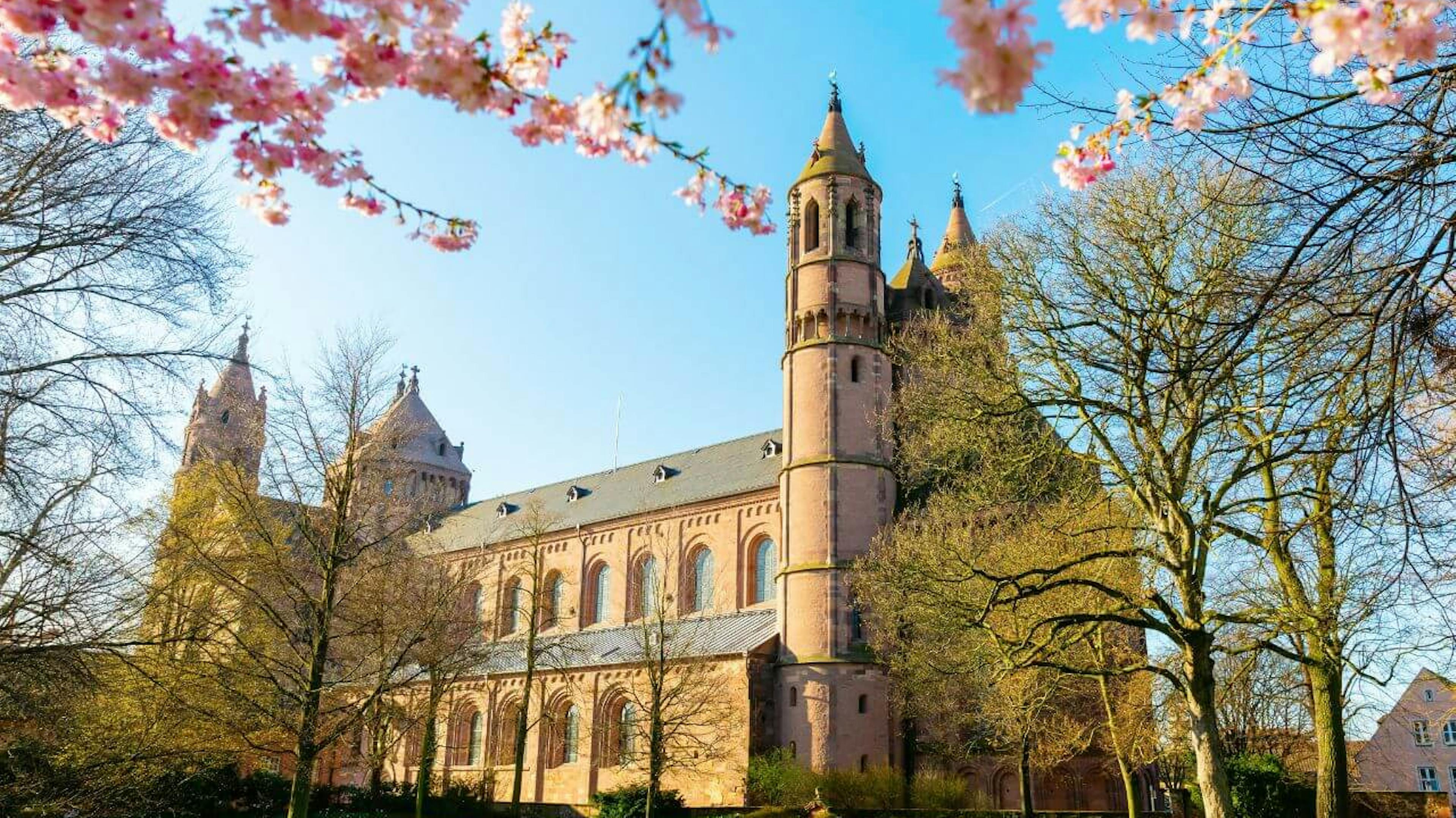 Worms entdecken: Eine Reise durch Geschichte und Gegenwart