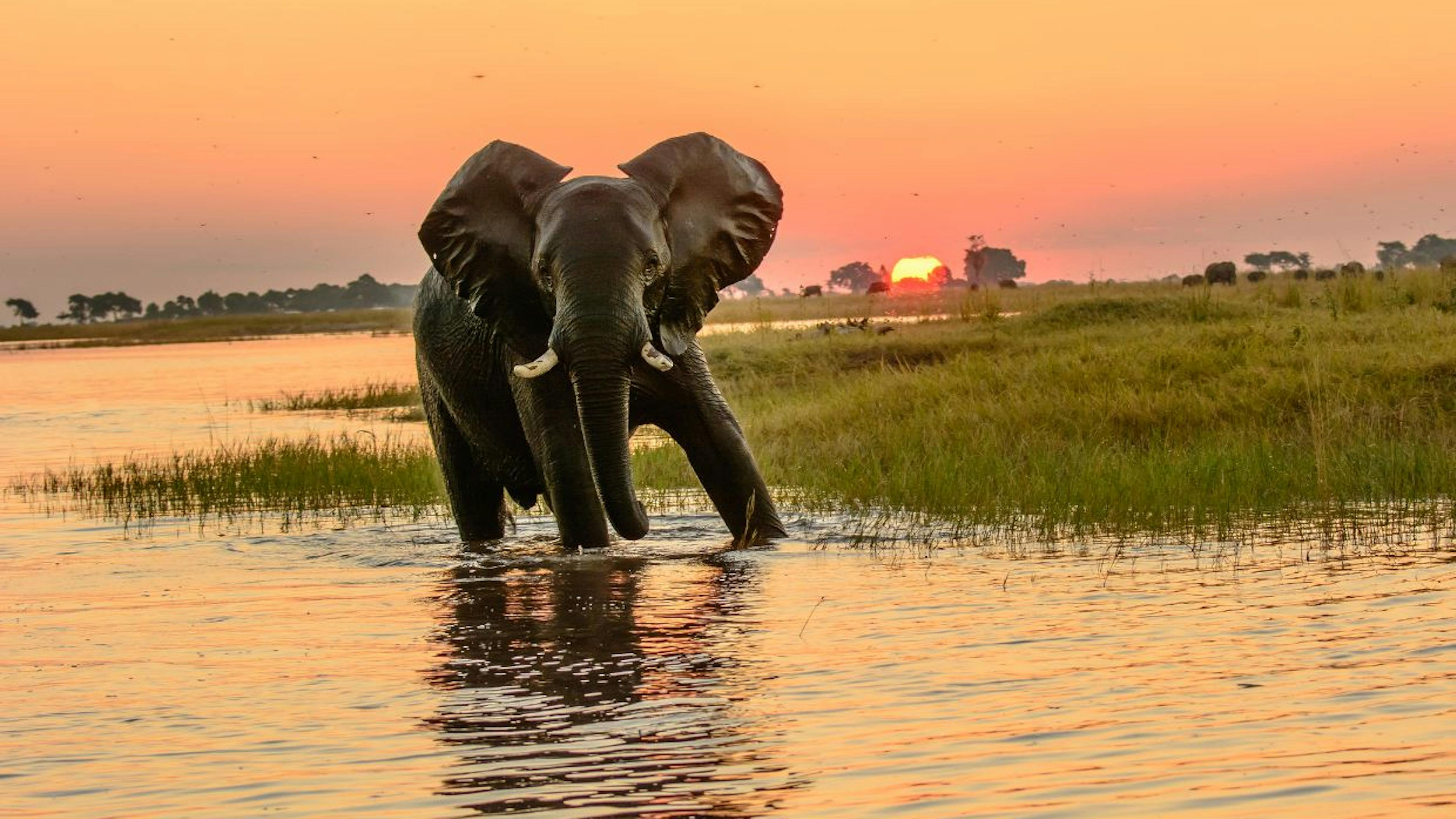 Botswana
