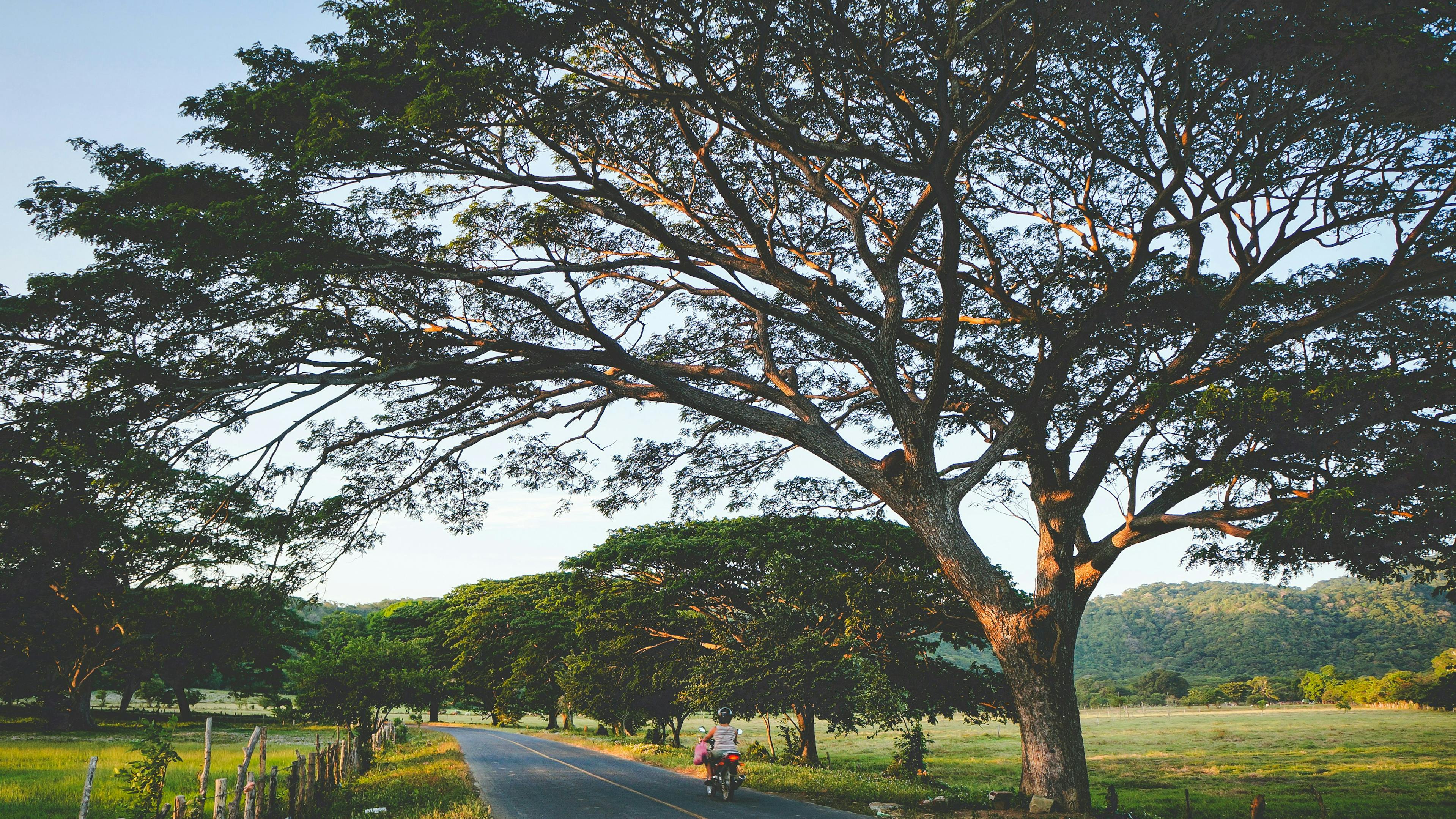 Nicaragua