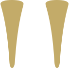 aesthetic studio Logo media