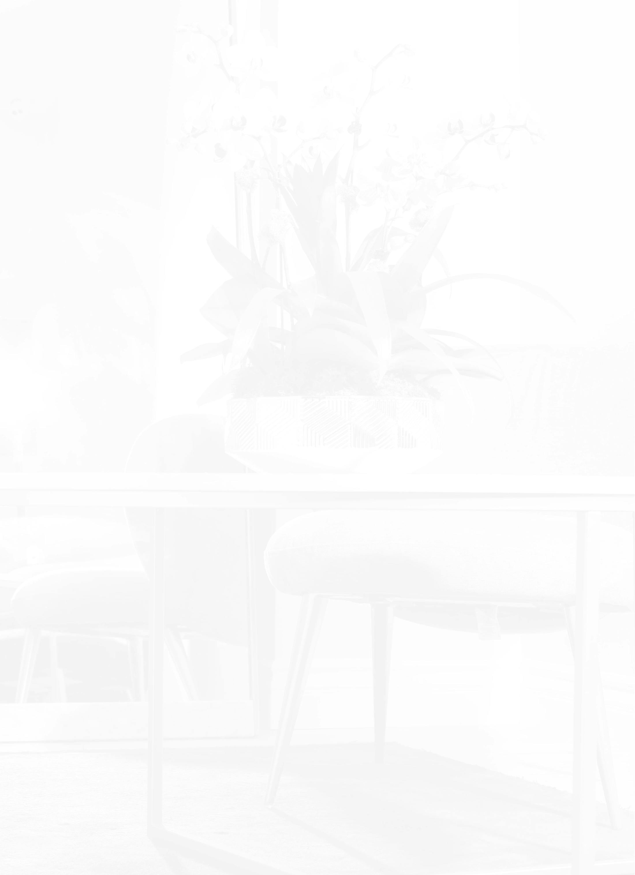 aesthetic studio